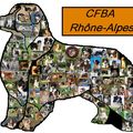 Site de la délégation Rhône Alpes du CFBA