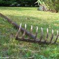 Le jardin n'est pas sans danger pour nos enfants…