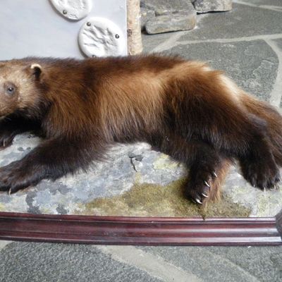 Le blog se réveille !