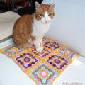 Mon premier "tapis de chat"