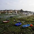 Barfleur ,les bateaux sont encore couchès