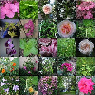 Petit tour du jardin...