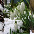 De saison, pas original, mais porteur d'espoir