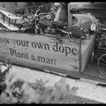 Dublin : plant a man? Good advice! / Dublin :planter un homme? Un conseil judicieux !