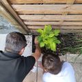 Je cultive mon jardin... rendez-vous l'annee prochaine