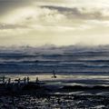 Un an aux îles Kerguelen