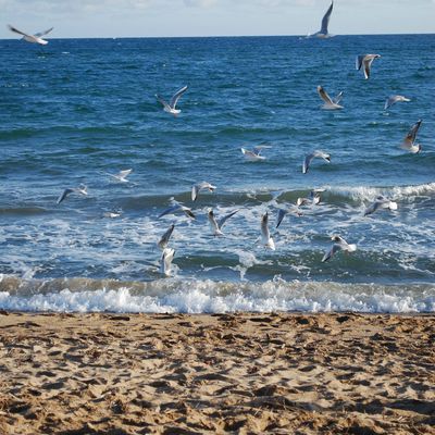 Un air de vacance