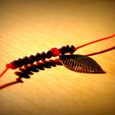 Craft of the day and my new friend