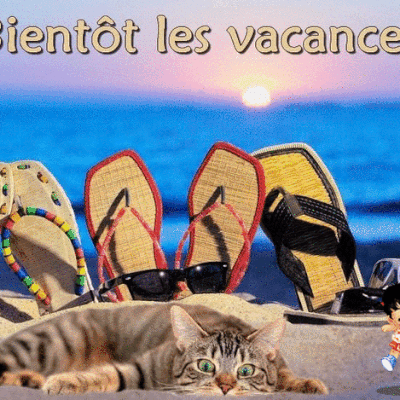 Dernier jour demain avant la fermeture estivale !