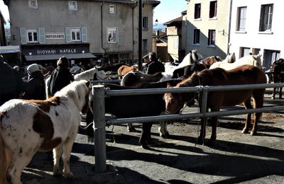 st galmier  Foire de la st Catherine  42 2018