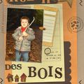 Robin des Bois !