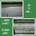 Orage, grêle et famille tordue ...