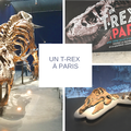Un T-Rex à Paris, l’expo à voir jusqu’au 4 novembre 