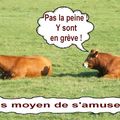 Dis donc (MAP)