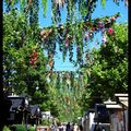 Ciel de fleurs à Bercy-Village