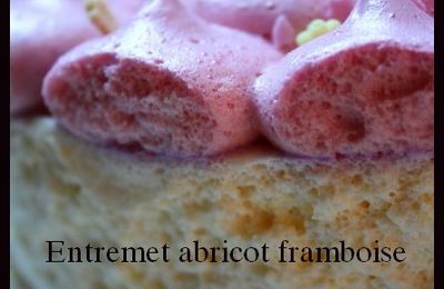 Entremet abricot framboise