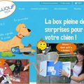 J'ai testé... Gaga de son Chihuahua : La Woufbox