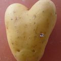 Un amour de pomme de terre