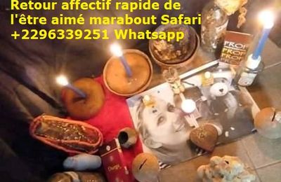 Retour affectif rapide de l'être aimé marabout Safari