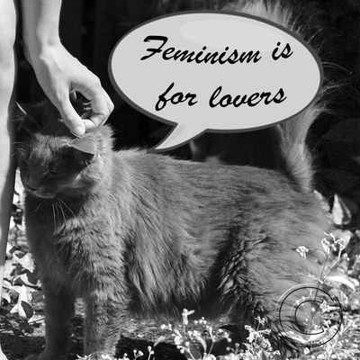 Séance photo féline, miaou.