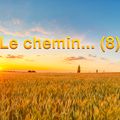 Le chemin… (8)