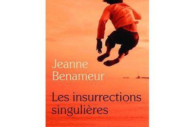 Les insurrections singulières de Jeanne Benameur