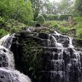 La Petite Cascade -Photo prise à Mortain en mai