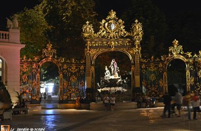 La Pépinière et le cœur historique de Nancy