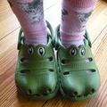 Aujourd'hui ,j'ai ammené un croc ...odile à l'école !