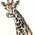 Pour un ami qui aime les girafes !