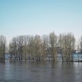 Loire en janvier 2018