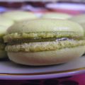 Macarons pistache