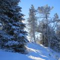 514-Belledonne Ski de rando 11 12 2022