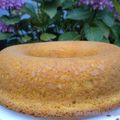 Bolo de fubá (gâteau brésilien)