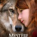 "Mystère" de Denis Imbert : un loup parmi les hommes