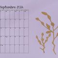 Myrtilles [calendrier septembre 2014]
