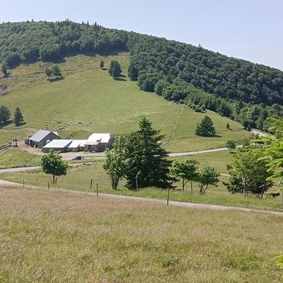 Les Vosges 2