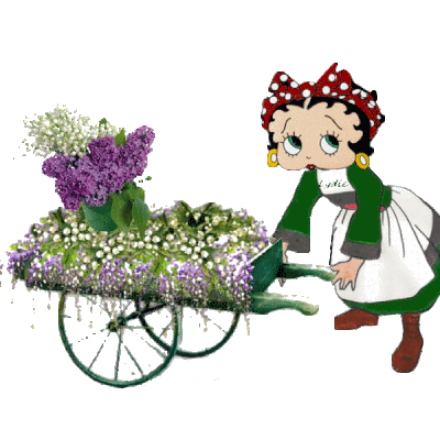 JE NE VOUS OUBLIE PAS