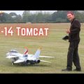 Le F14 Tomcat, chasseur embarqué de la marine américaine.
