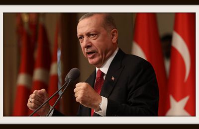 Erdogan à la commémoration du 11 novembre : ce qu’il faut avoir le courage de lui dire