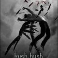 Hush Hush de Becca Fitzpatrick