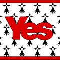 YES Limousin for Scottish Independence