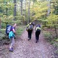 Journée de grimpe au Falkenstein