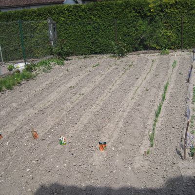 voici quelques nouvelles