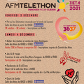 Programme telethon Cinq Mars la Pile