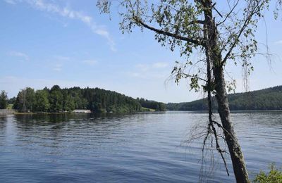 Balade dans l'île de Vassivière (Creuse) le 31 juillet 2024 (1)