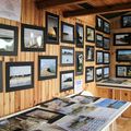 L'exposition été 2013: Le Verdon sur Mer
