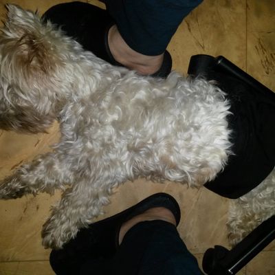 Entre la crème et le pot ...