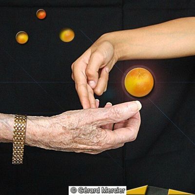 Gérard Mercier - -LDS - 465 - "Pamplemousse"