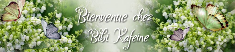 Bibi Kafeine